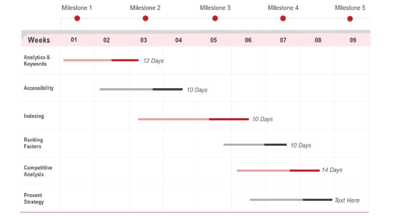 SEO timeline